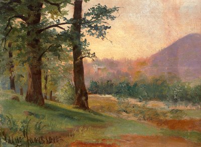 At the Forest